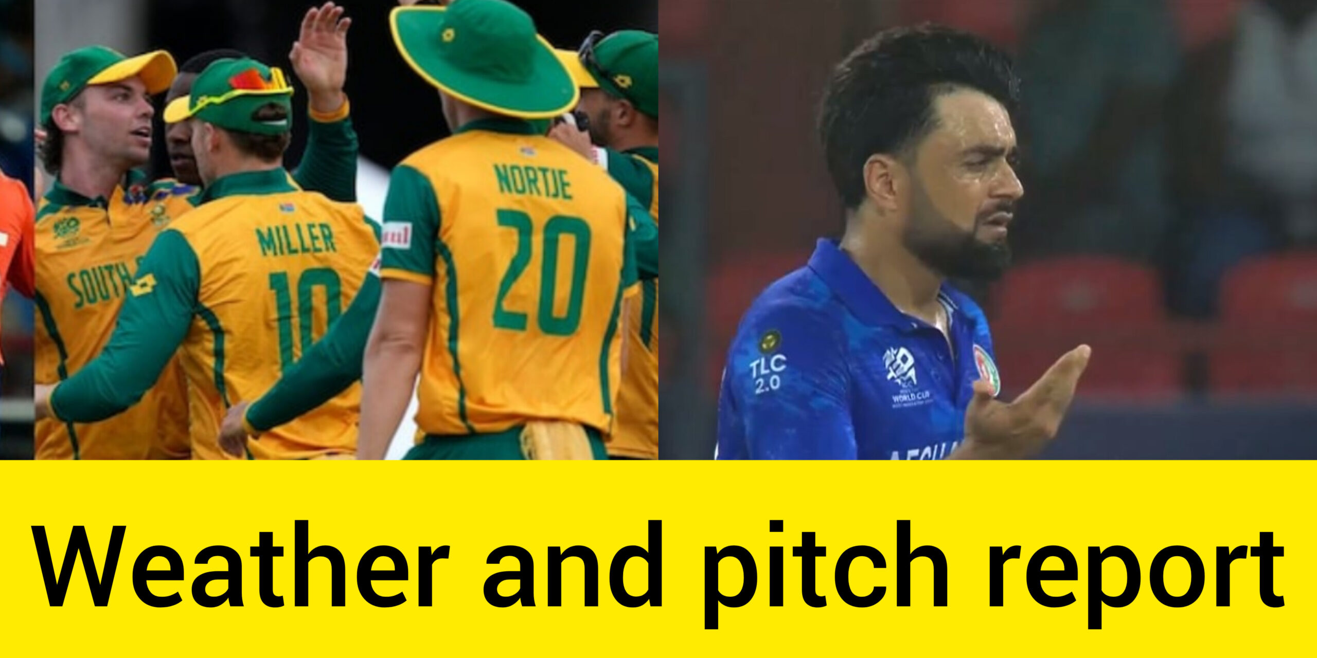 T20 World Cup 2024 Semi-Final 1: South Africa vs Afghanistan Pitch and Weather Report